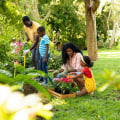 Creating a Healthy Ecosystem in Your Soil: Sustainable Gardening Tips for a More Eco-Friendly Lifestyle