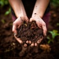 Benefits of Composting for Sustainable Gardening and Living