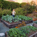 Building and Maintaining a Raised Bed Garden for Sustainable Living