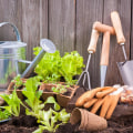 Natural Pest Control Methods for Your Garden: Tips for Sustainable Gardening and Eco-Friendly Living