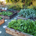 Maximizing Space in a Raised Bed Garden: How to Grow Your Own Organic Vegetables and Live an Eco-Friendly Lifestyle