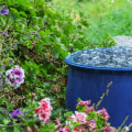 How to Use Harvested Rainwater for Sustainable Gardening and a Greener Lifestyle