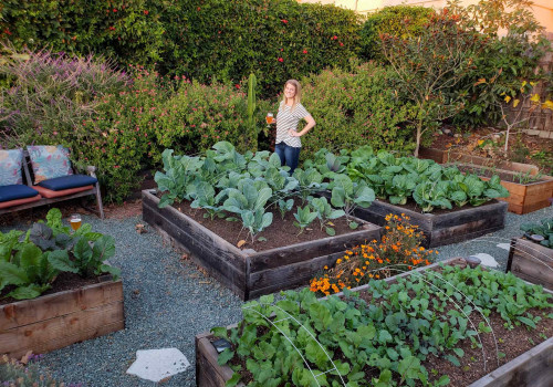 Building and Maintaining a Raised Bed Garden for Sustainable Living