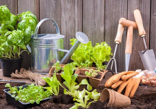 Natural Pest Control Methods for Your Garden: Tips for Sustainable Gardening and Eco-Friendly Living