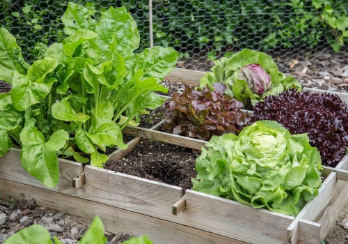 Growing Vegetables in Small Spaces: The Ultimate Guide