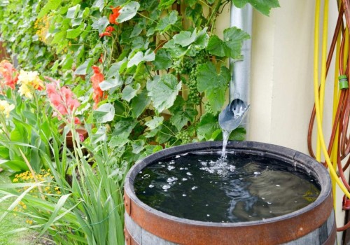 How Rainwater Harvesting Can Help You Live a Sustainable Lifestyle