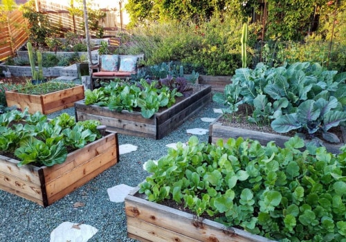 Maximizing Space in a Raised Bed Garden: How to Grow Your Own Organic Vegetables and Live an Eco-Friendly Lifestyle