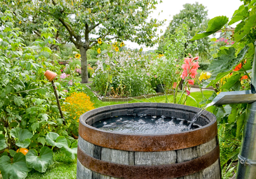 Setting up a Rain Barrel to Live a Sustainable Gardening Lifestyle