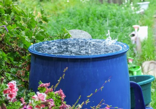 How to Use Harvested Rainwater for Sustainable Gardening and a Greener Lifestyle